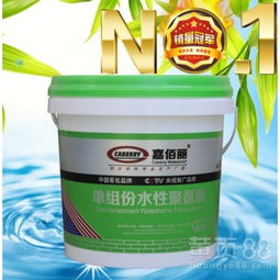 单组份水性聚氨酯防水涂料 环保高效的防水新选择